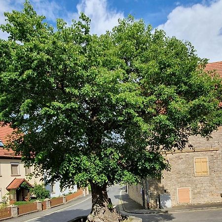 Ferienwohnung Zur Linde Dettelbach Exteriér fotografie